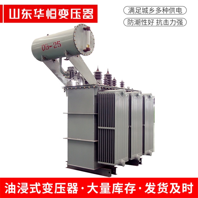 S11-10000/35杨浦杨浦杨浦电力变压器厂家