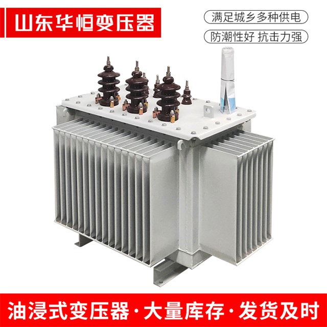 S11-10000/35杨浦杨浦杨浦电力变压器价格